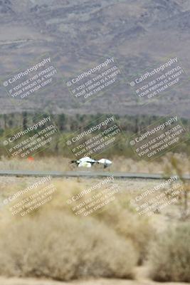 media/Apr-20-2025-CVMA (Sun) [[39090e8767]]/Race 11-500-350 Supersport (Holeshot)/